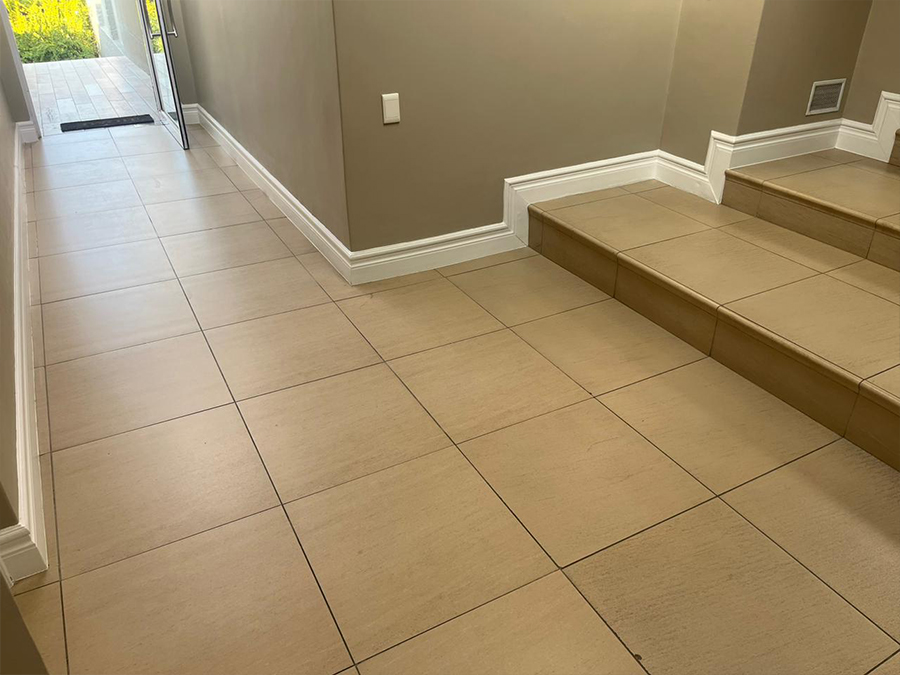 elephant-skin-before